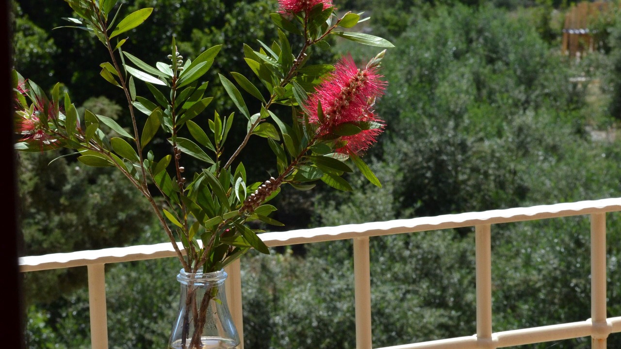 Photo of Outdoor in Melidoni