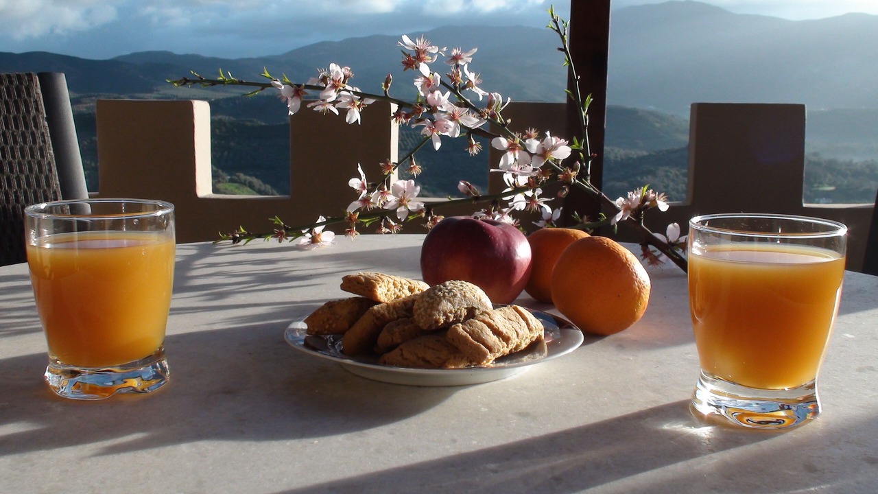 Photo of Outdoor in Kopetoi