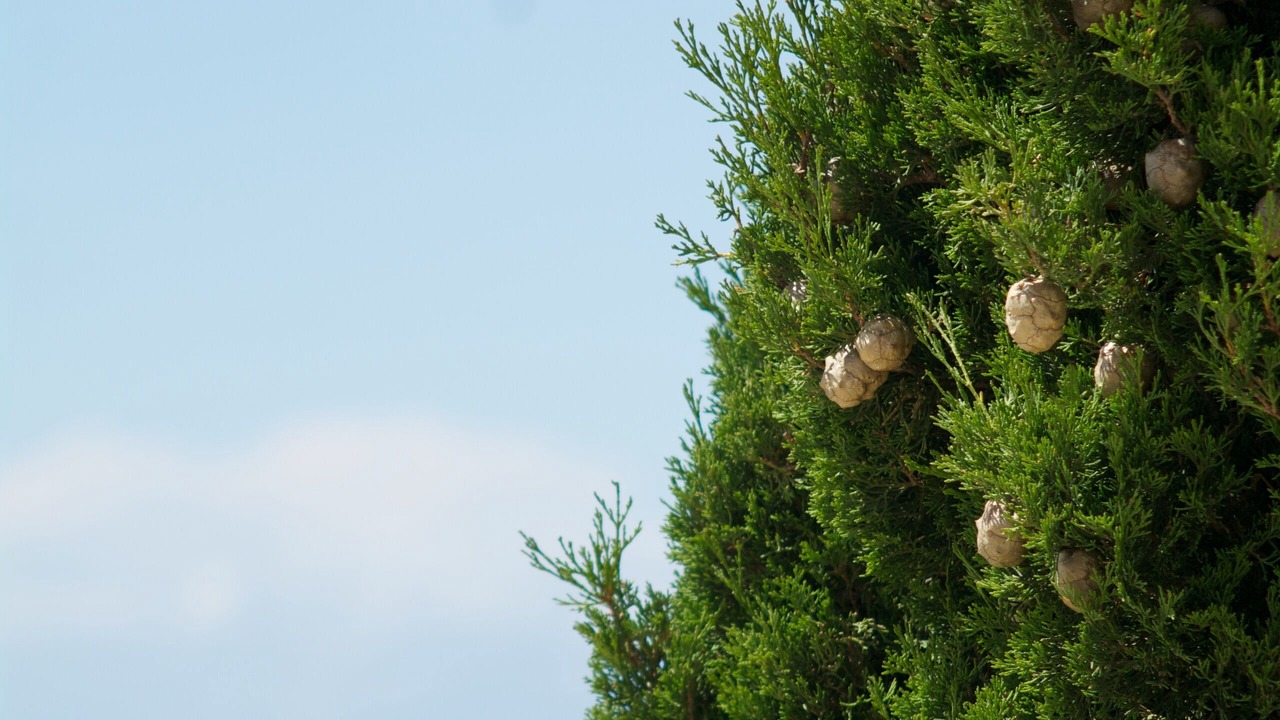 Photo of Others in Agios Nikitas