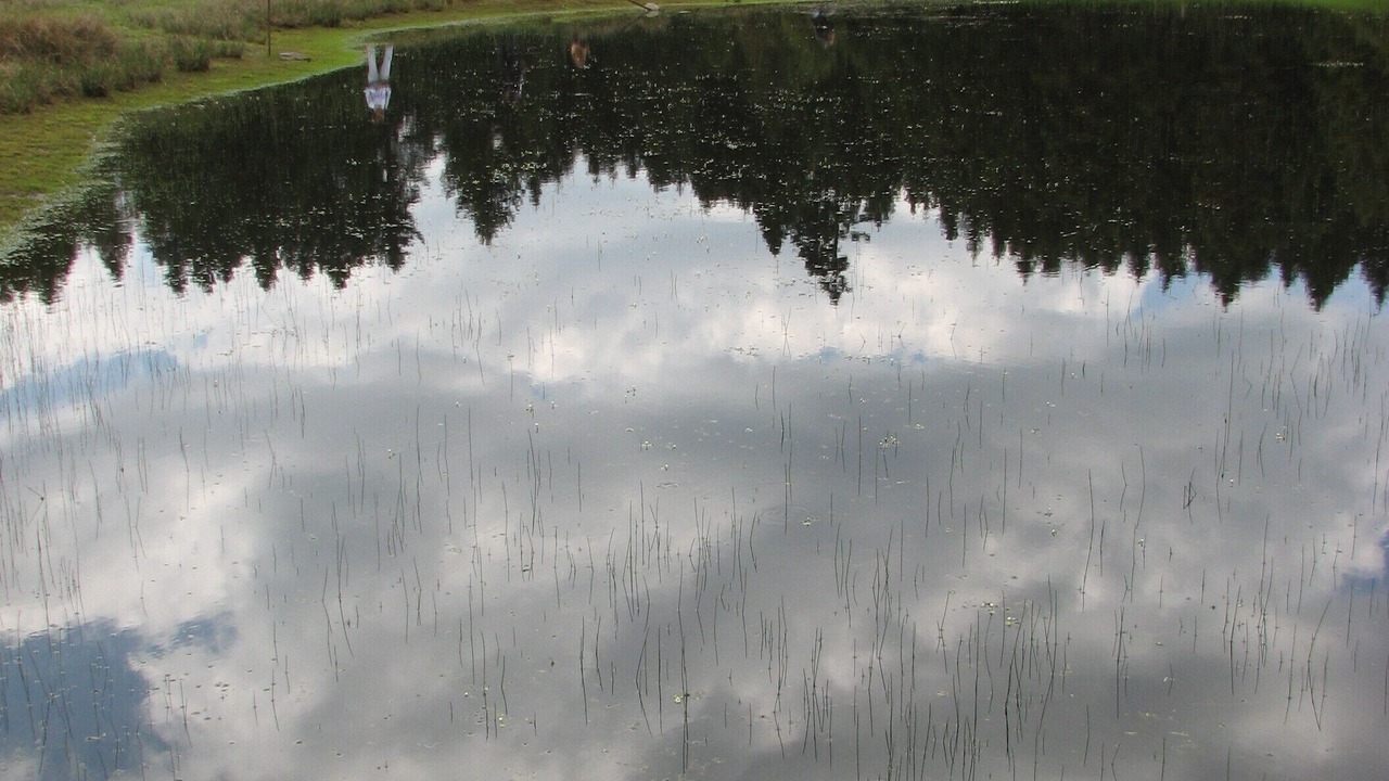 Photo of Others in Potamia