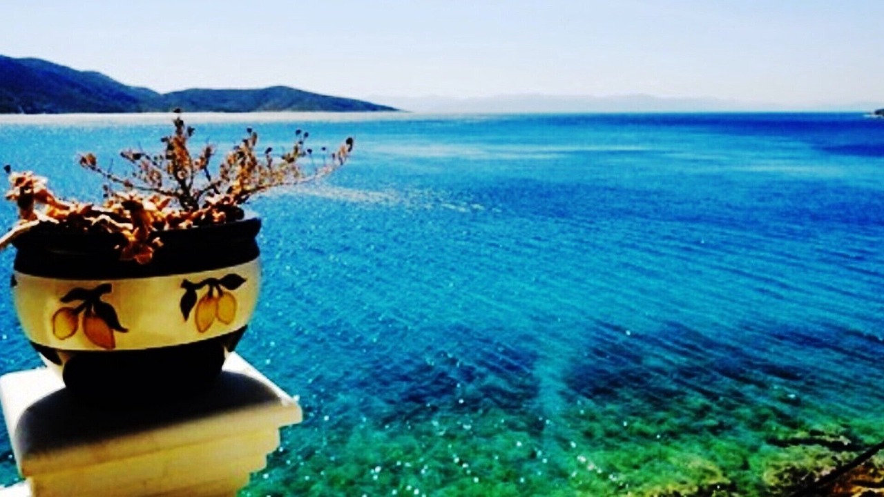 Photo of Others in Salamis