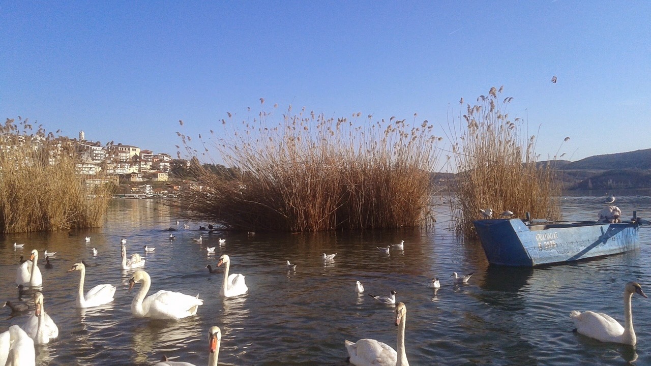 Photo of Outdoor in Sidirochori