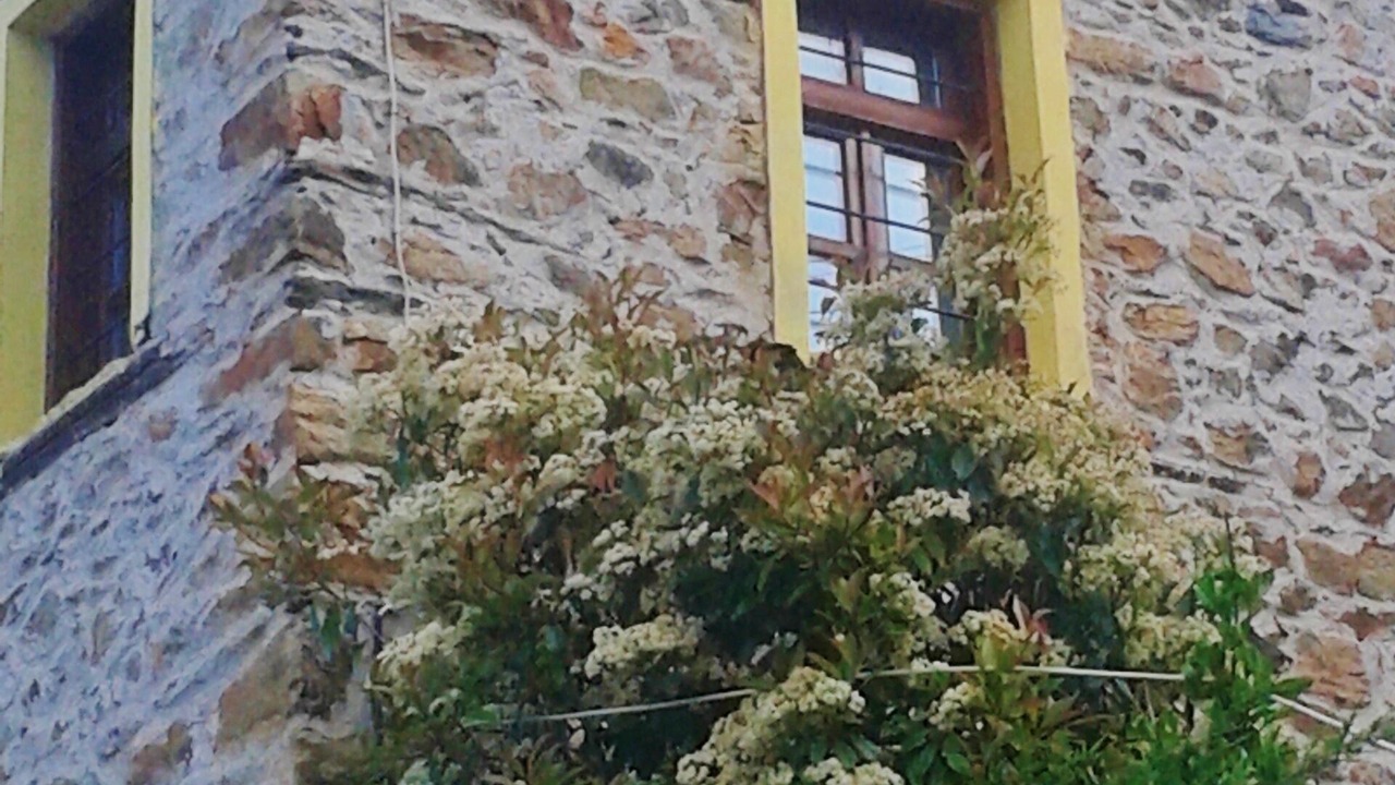 Photo of Outdoor in Sidirochori