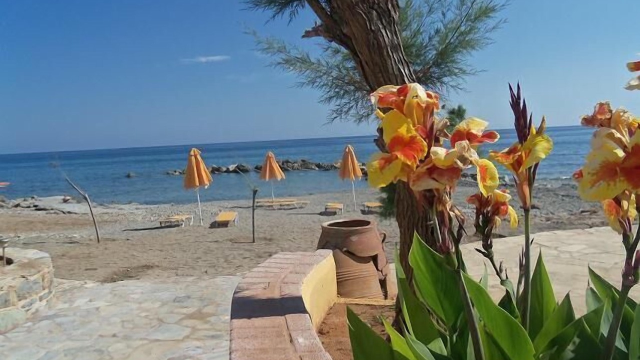 Photo of Others in Koutsouras