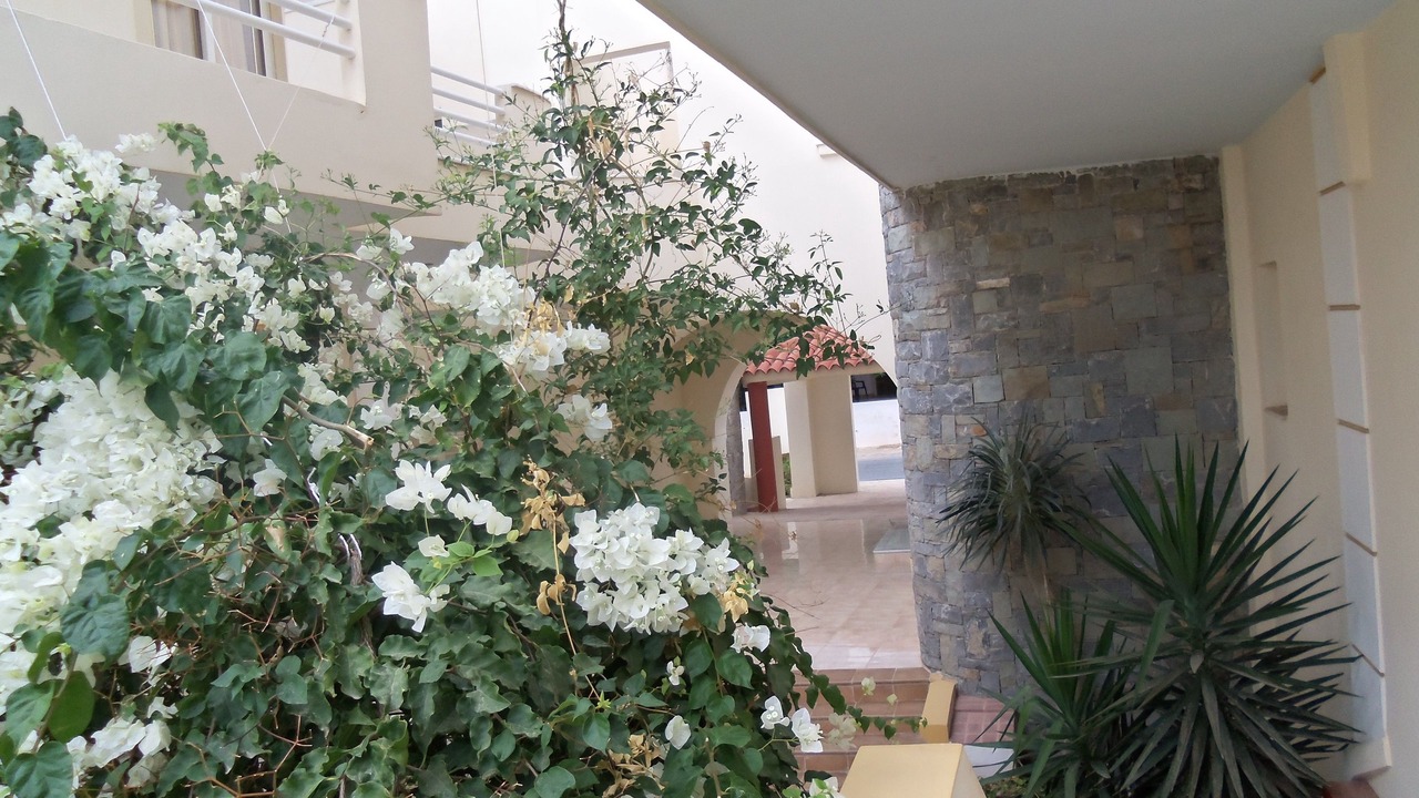 Photo of Outdoor in Koutsouras