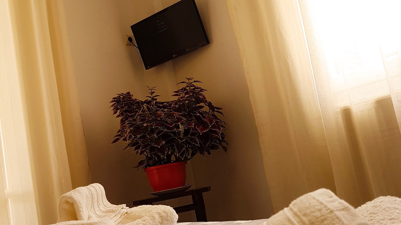 Photo of Bedroom in Halepa