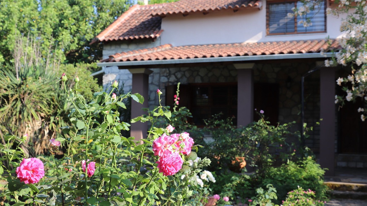 Photo of Outdoor in Monastiraki