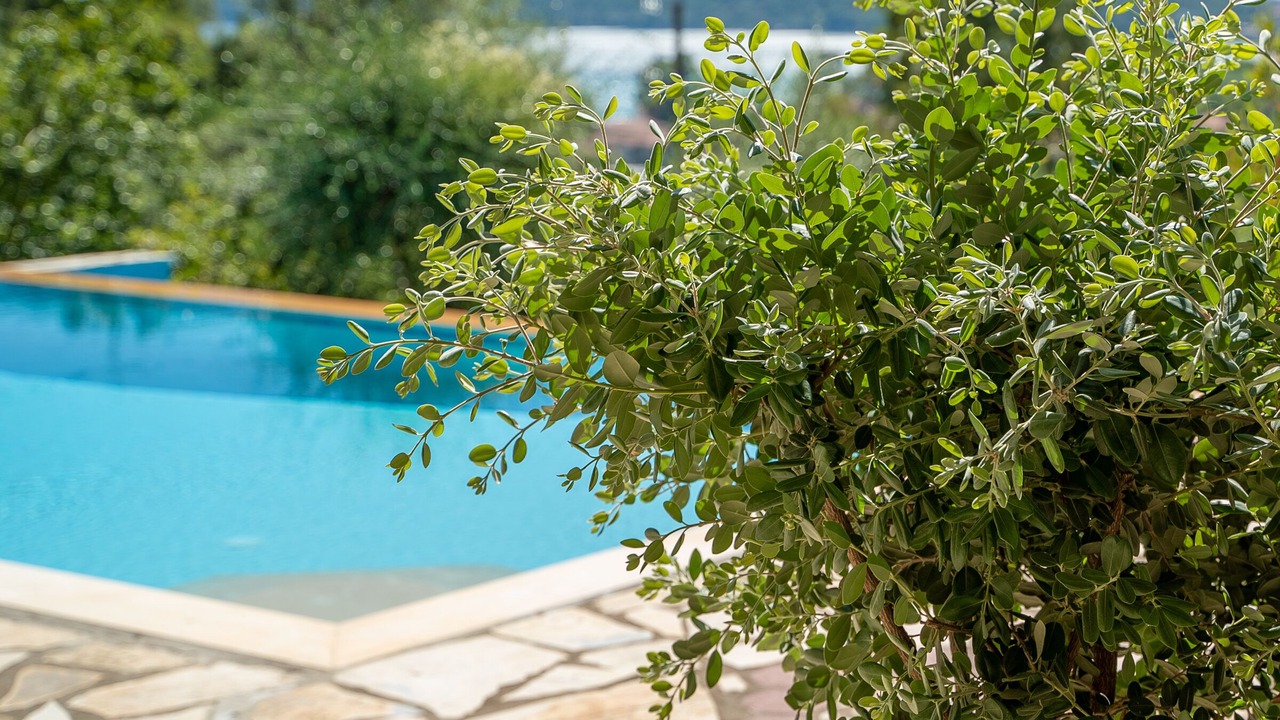 Photo of Outdoor in Evgiros