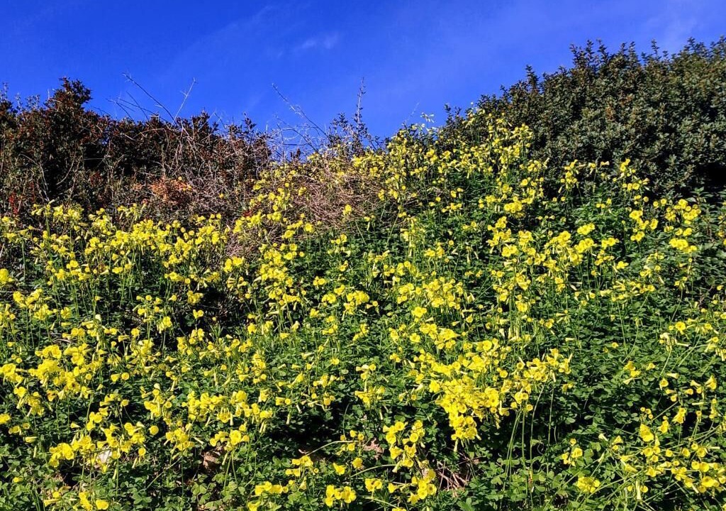 Photo of Outdoor in Geropotamos