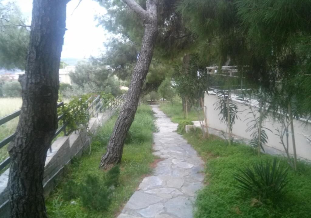 Photo of Outdoor in Kineta