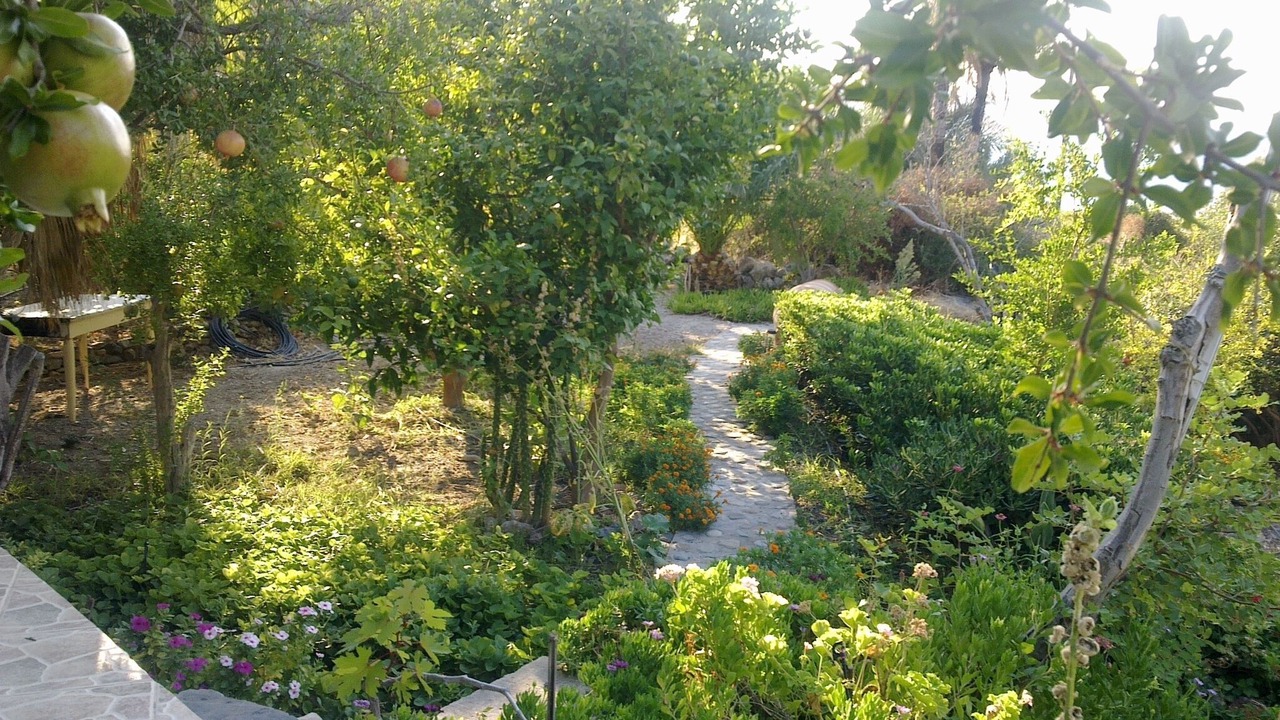Photo of Outdoor in Agios Vasileios