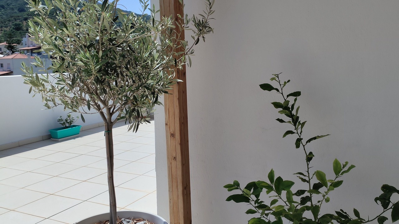 Photo of Outdoor in Neapoli