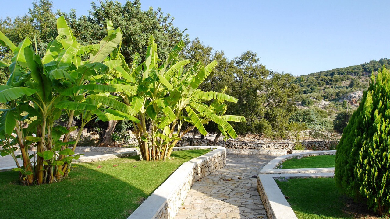 Photo of Others in Apokoronas