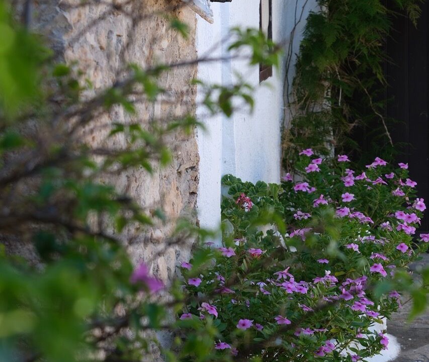 Photo of Outdoor in Koutsounari