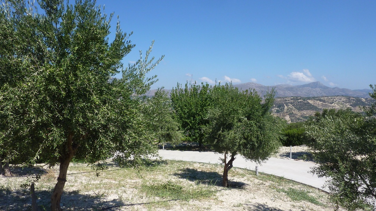 Photo of Outdoor in Petrokefalo