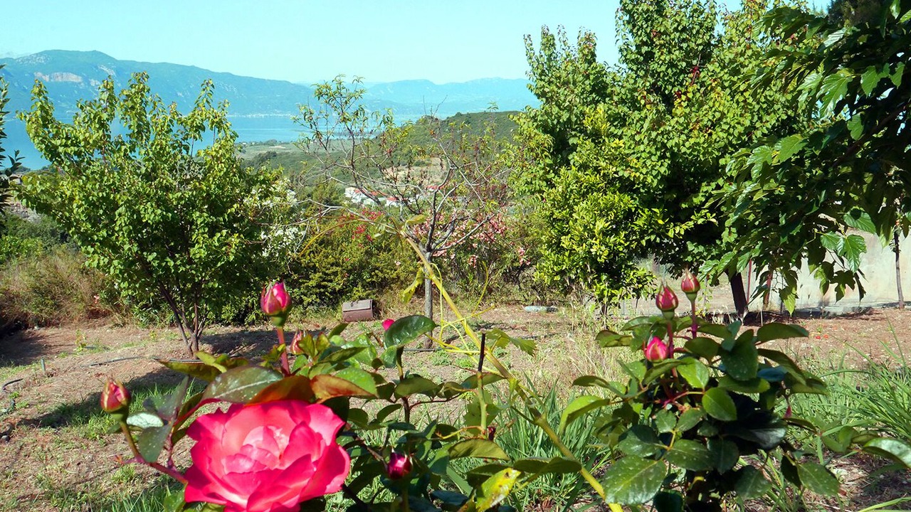 Photo of Outdoor in Likhas