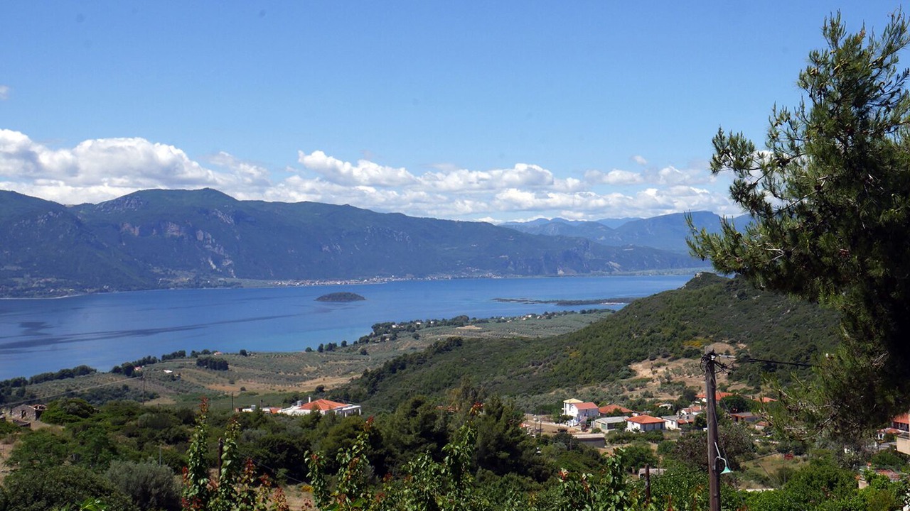 Photo of Others in Likhas