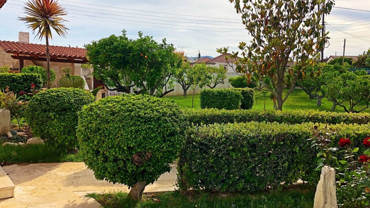 Photo of Outdoor in Kato Diminio
