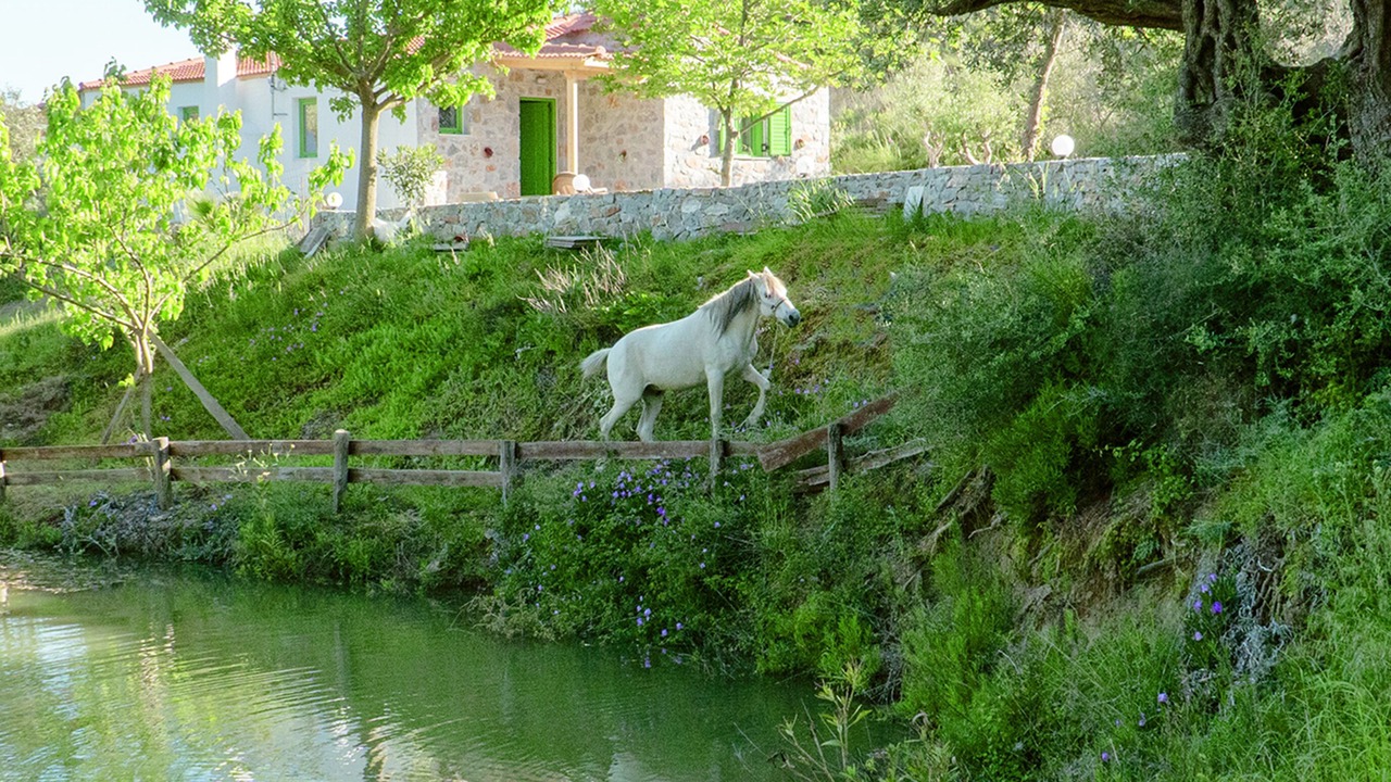 Photo of Outdoor in Lampini