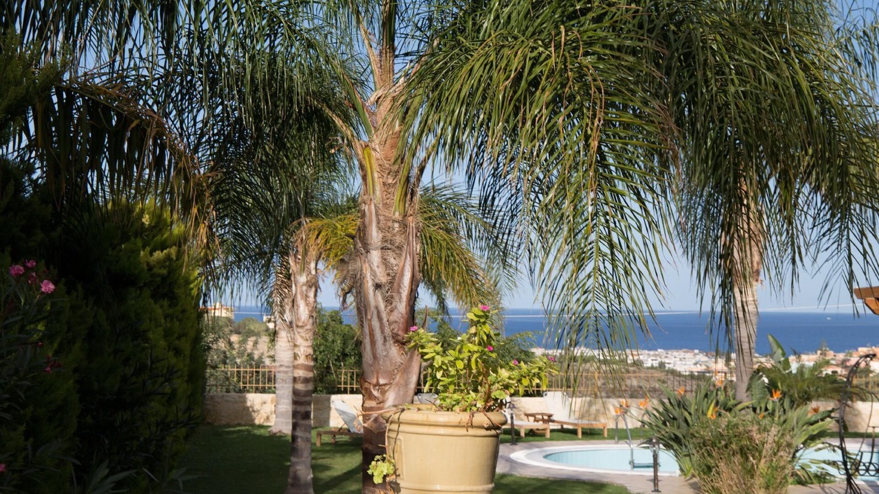 Photo of Outdoor in Old Hersonissos
