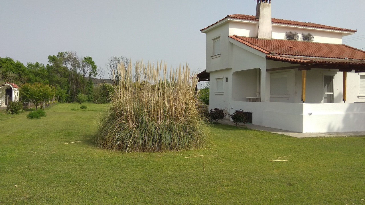 Photo of Outdoor in Nea Propontida