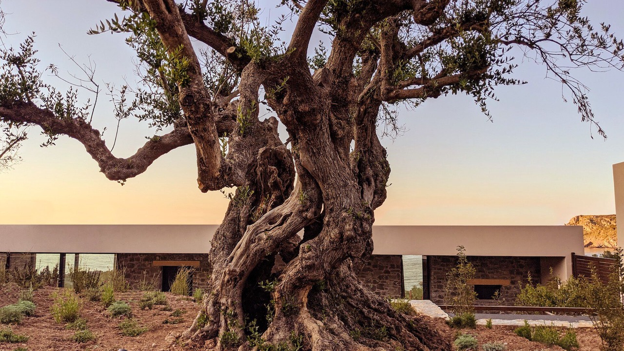 Photo of Outdoor in Mochlos
