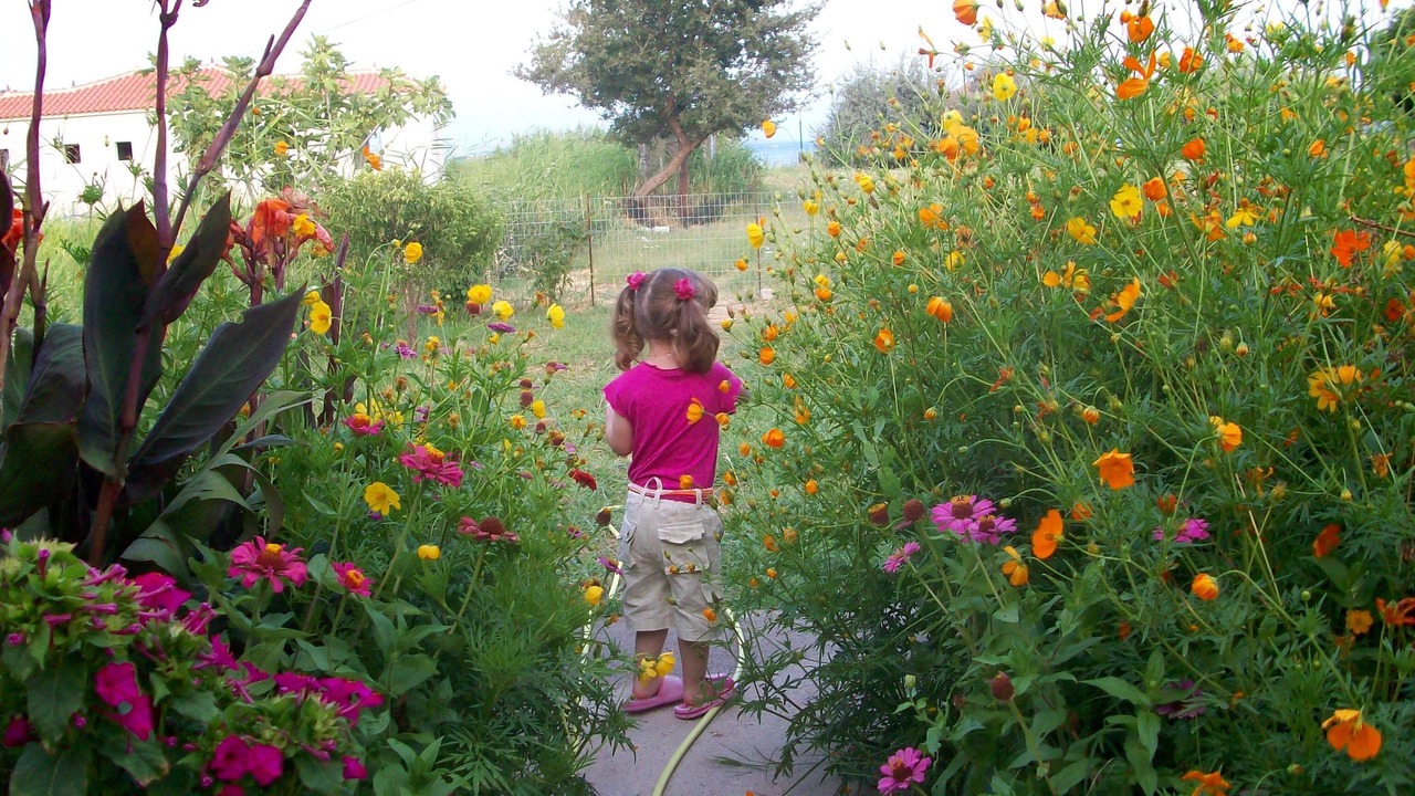 Photo of Outdoor in Tsonia
