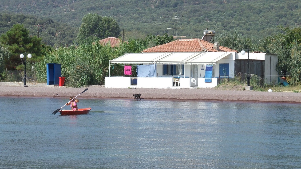 Photo of Others in Tsonia