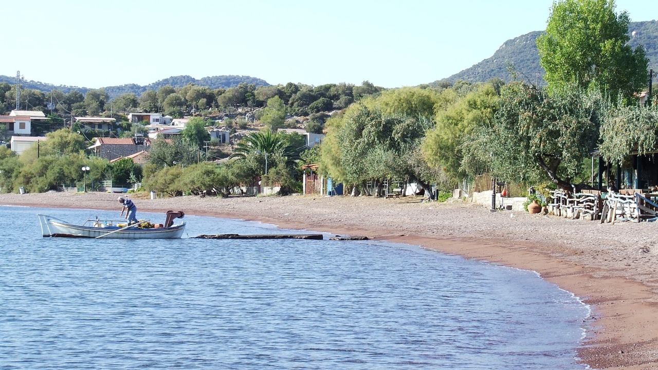 Photo of Others in Tsonia