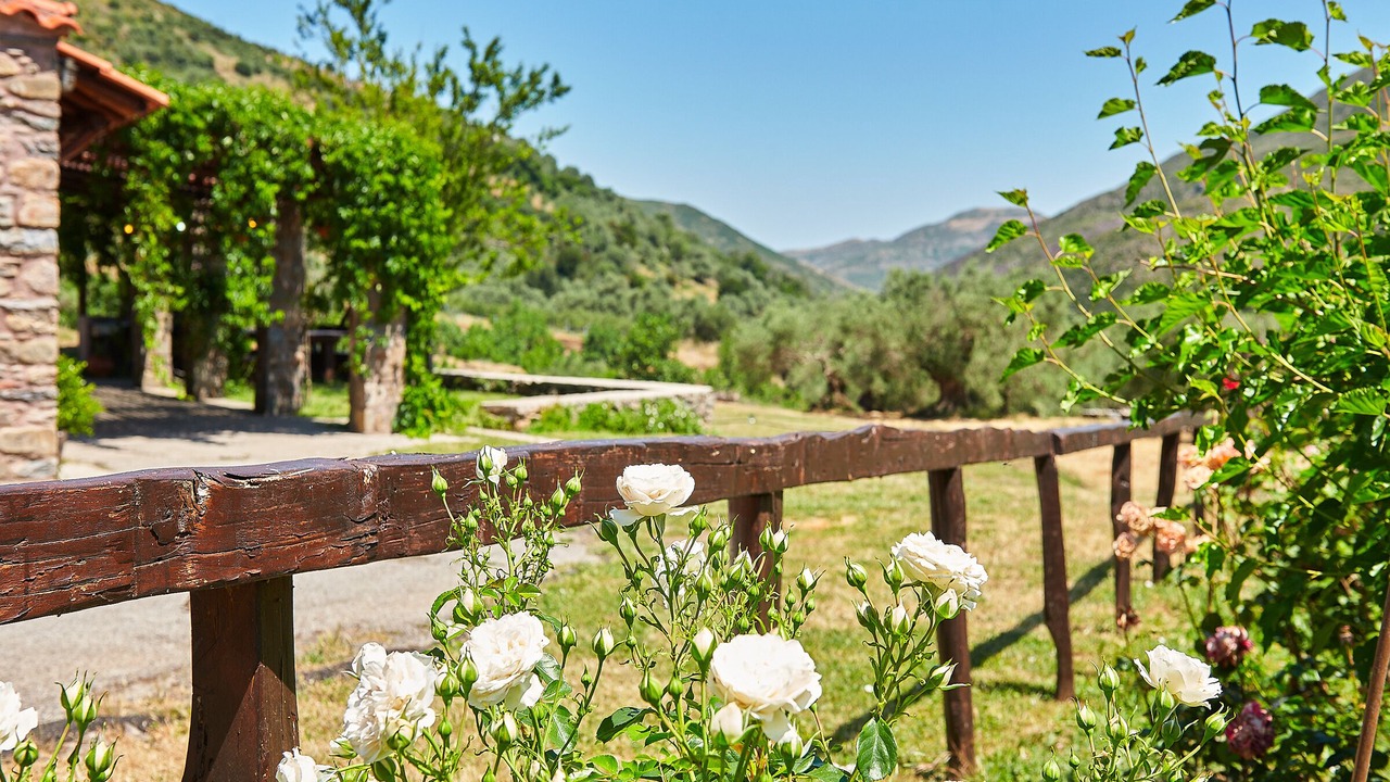 Photo of Outdoor in Agía Eiríni