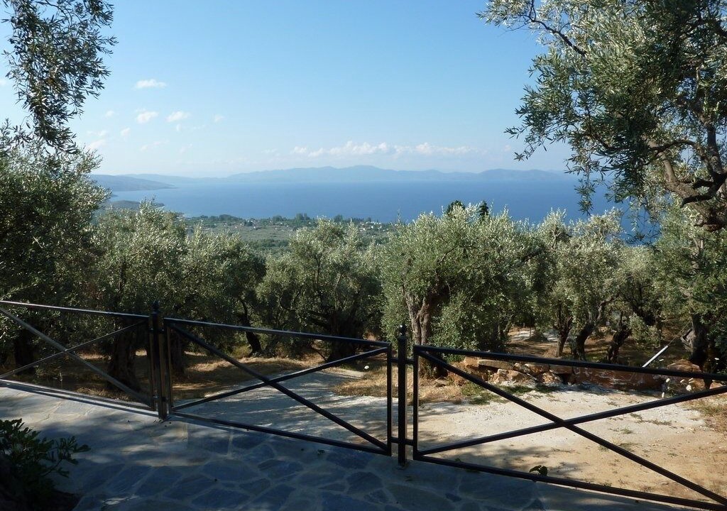 Photo of Outdoor in Kala Nera