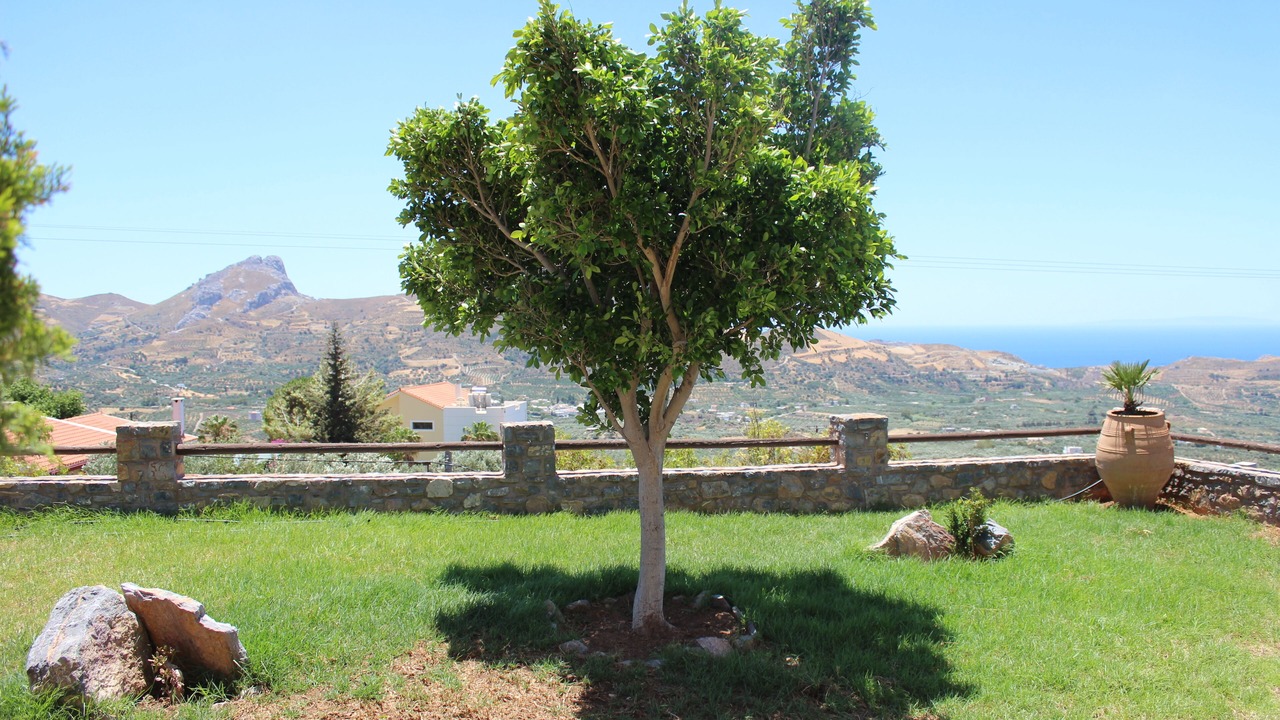 Photo of Outdoor in Agios Vasileios