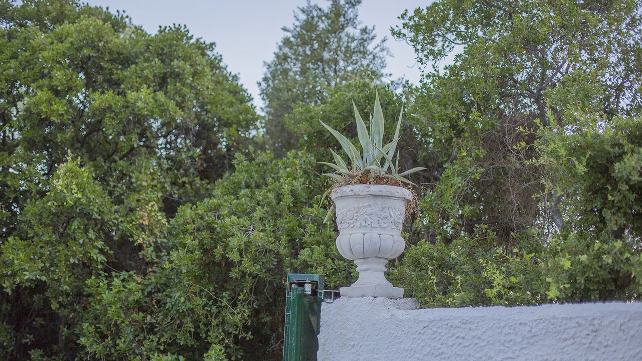 Photo of Outdoor in Imathia Region