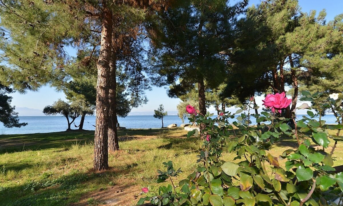 Photo of Outdoor in Skala Rachoniou
