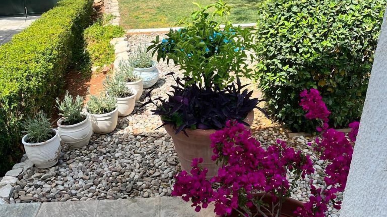 Photo of Outdoor in Saronida
