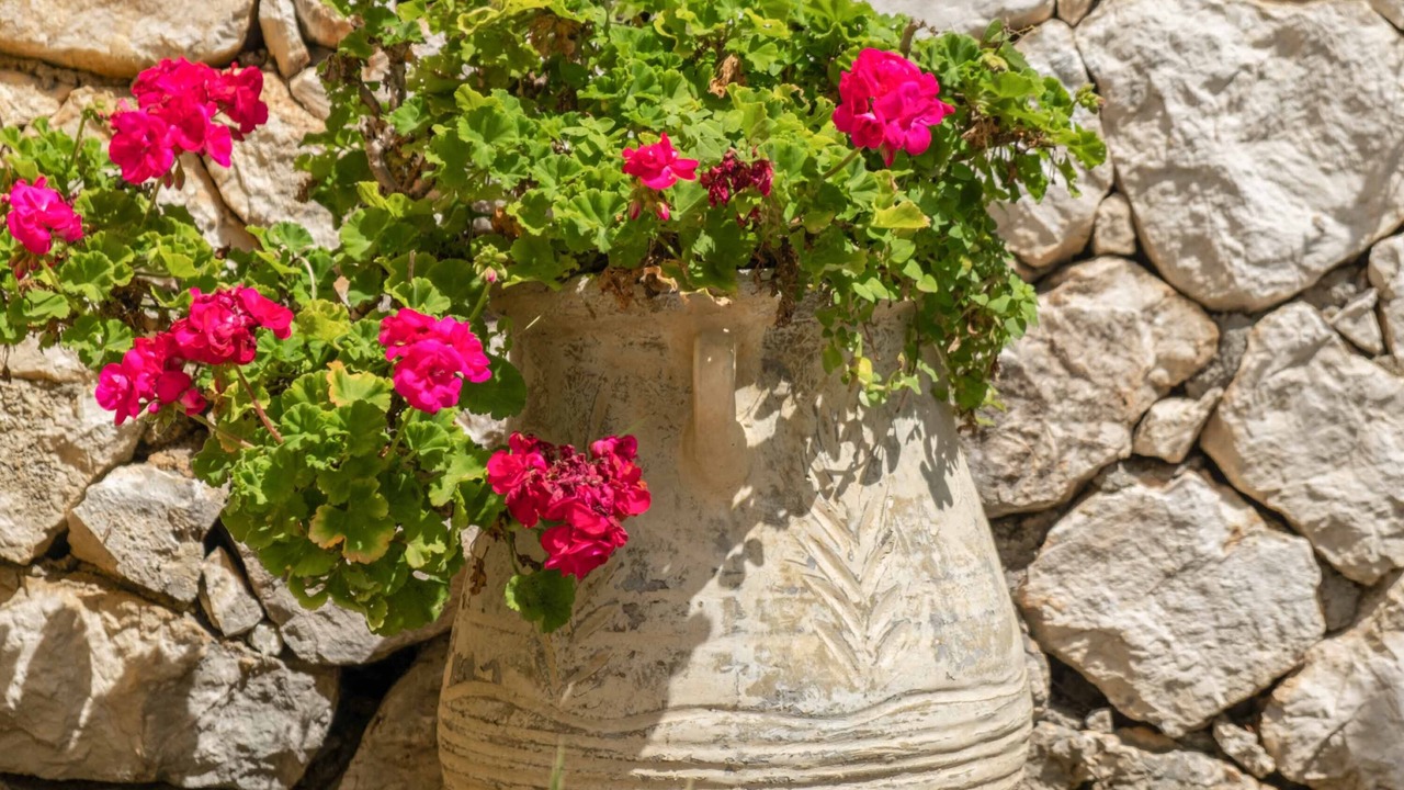 Photo of Outdoor in Sivota