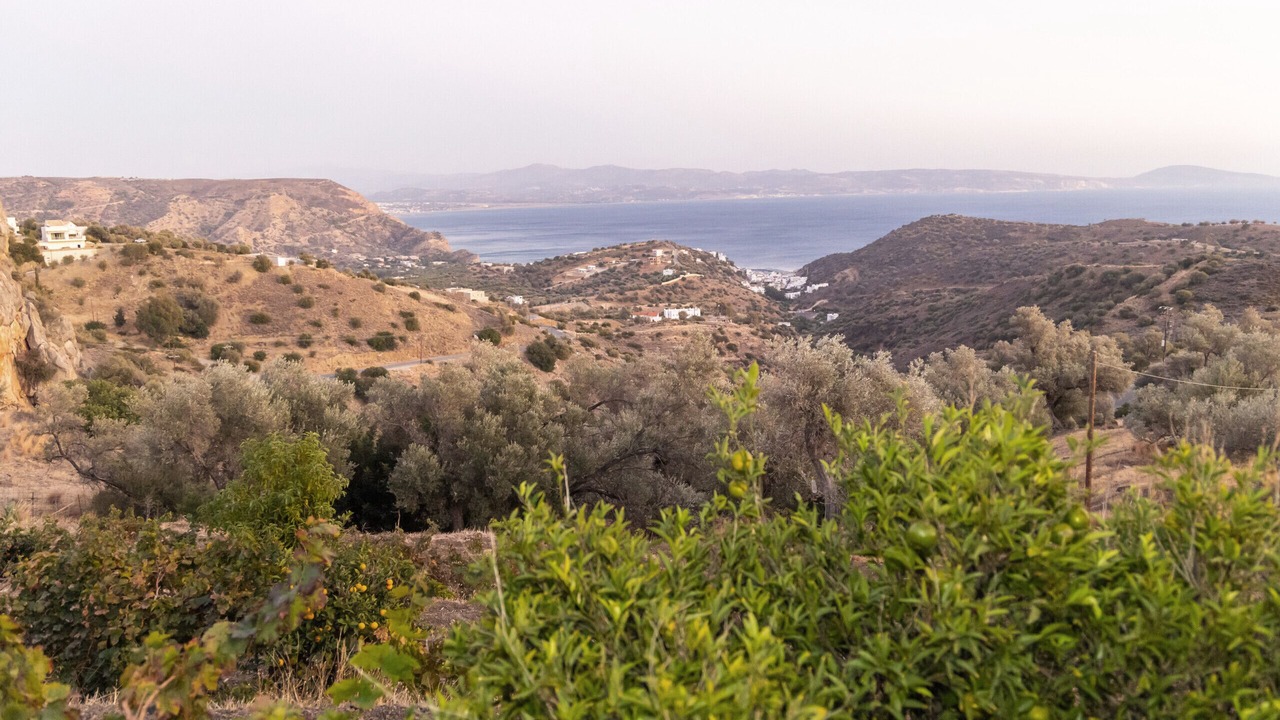 Photo of Others in Agia Galini