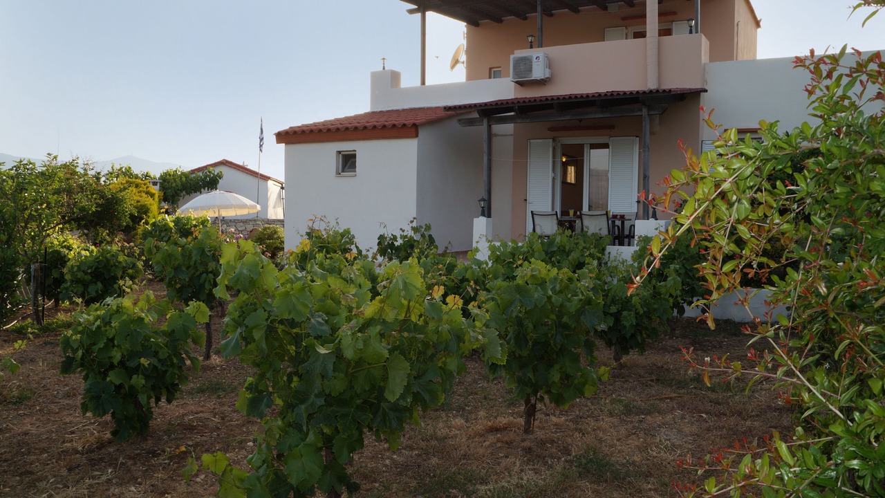 Photo of Outdoor in Lampini