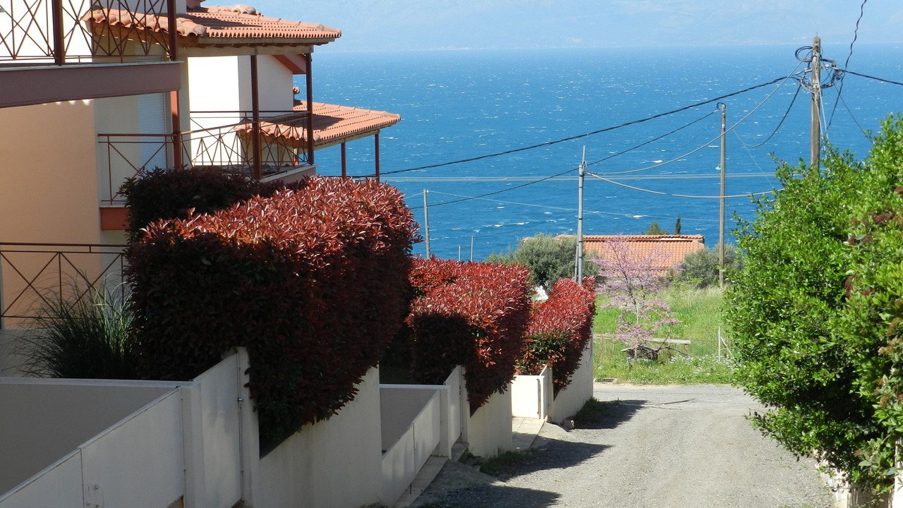 Photo of Outdoor in Trapeza