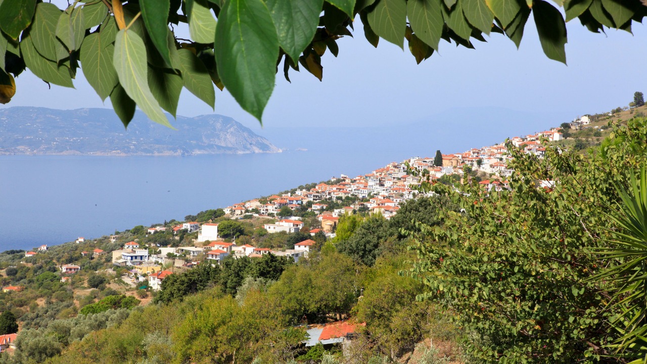 Photo of Others in Glossa