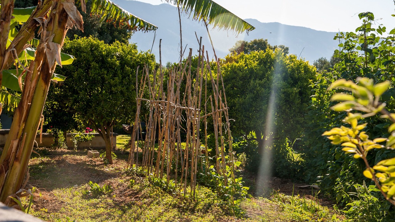Photo of Outdoor in Spartia