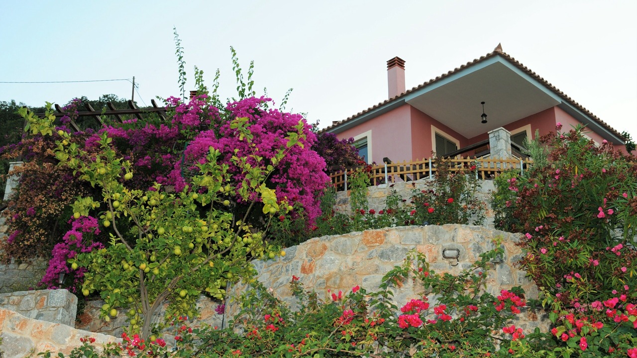 Photo of Outdoor in Livadi