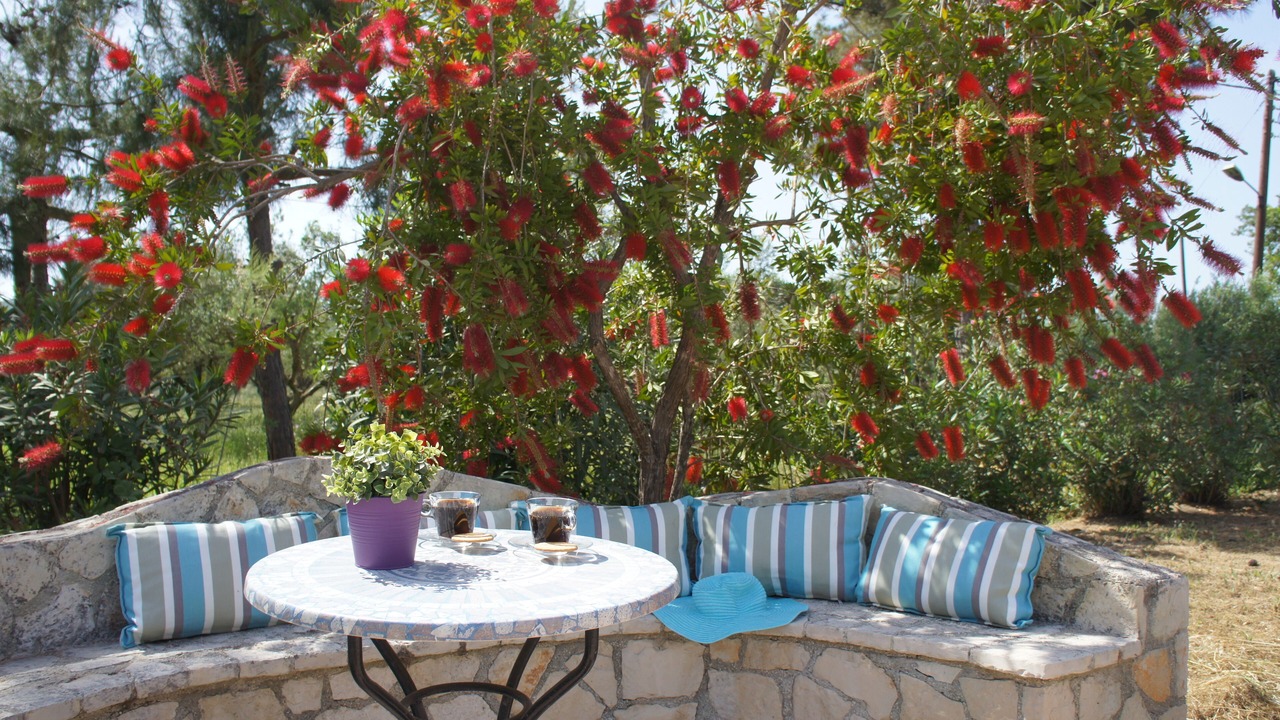Photo of Outdoor in Vasilikos