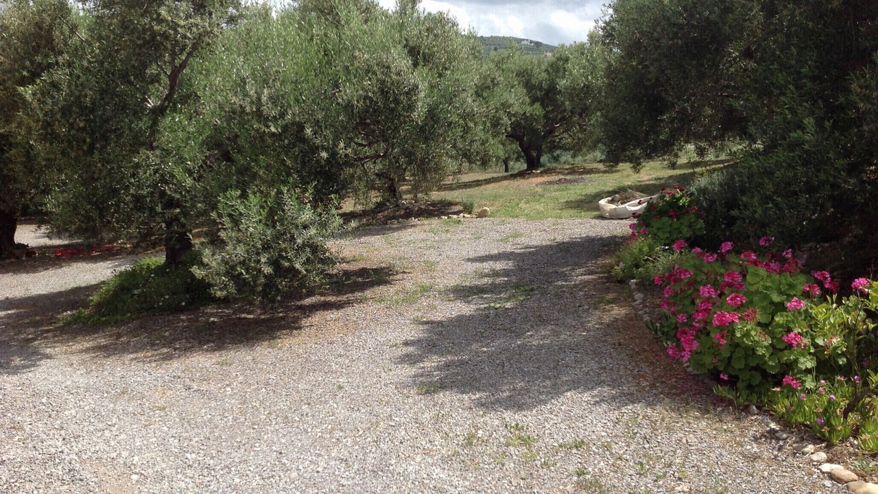 Photo of Outdoor in Kissamos