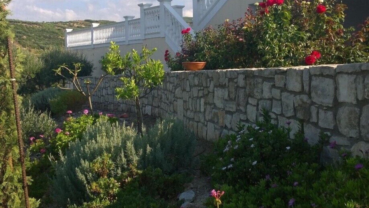 Photo of Outdoor in Kissamos