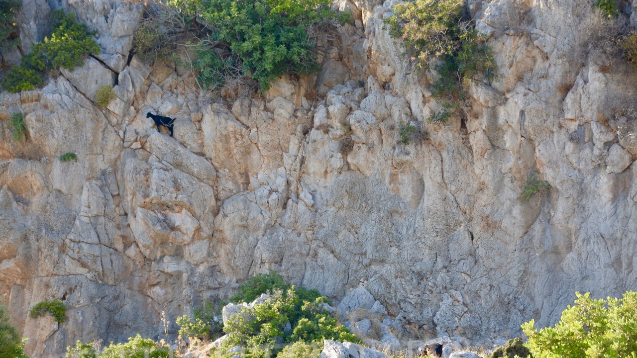 Photo of Outdoor in Afandou