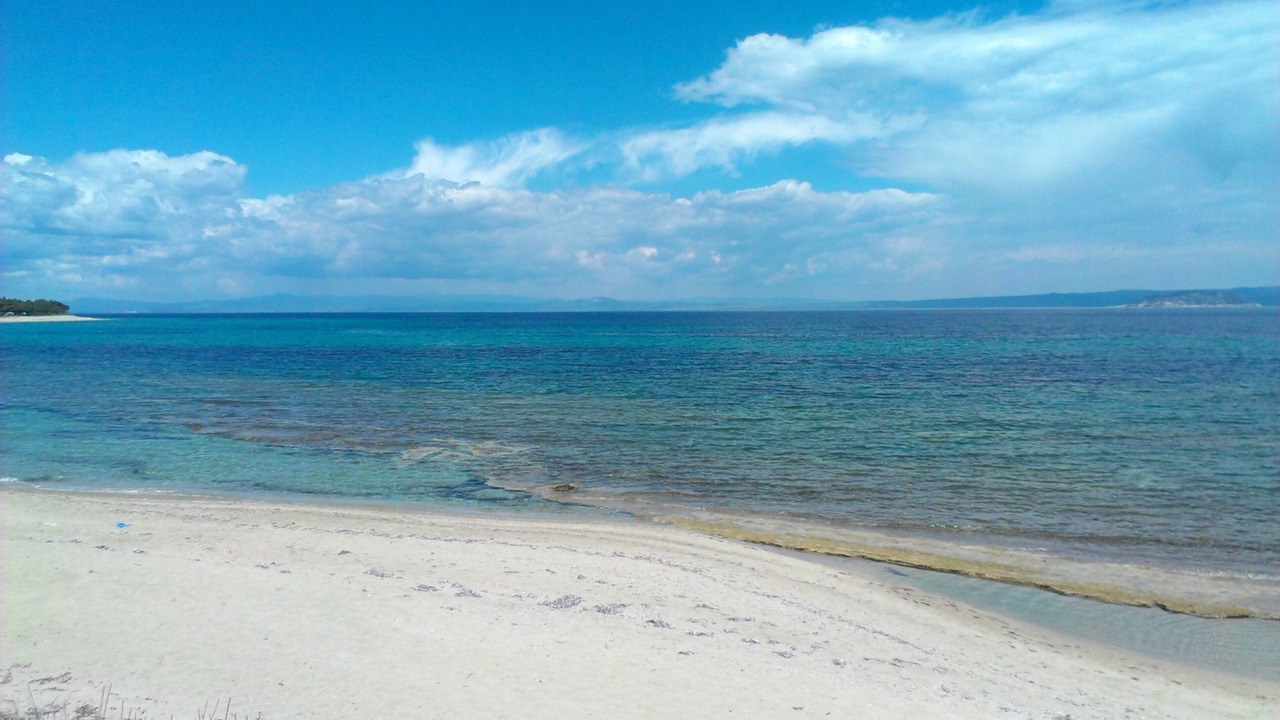Photo of Others in Paliouri
