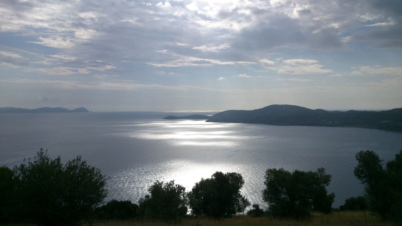 Photo of Others in Paliouri
