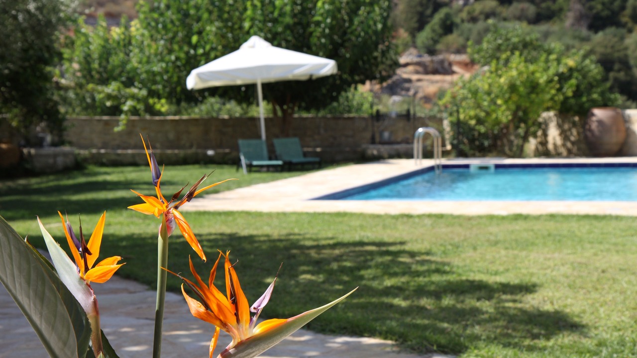 Photo of Outdoor in Filippos