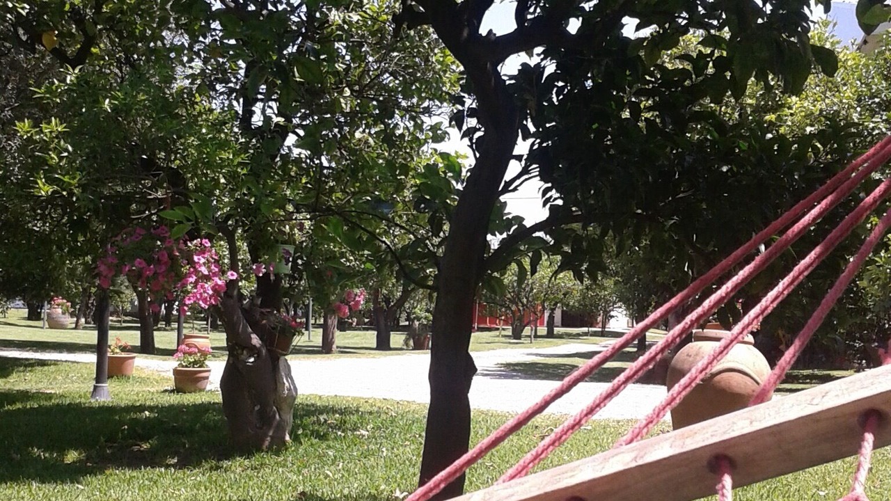 Photo of Outdoor in Valimitika